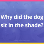 Why did the dog sit in the shade?