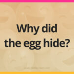 Why did the egg hide?
