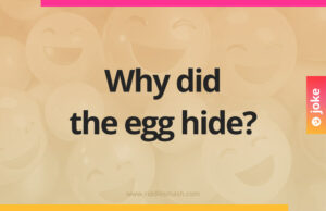 Why did the egg hide?
