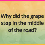 Why did the grape stop in the middle of the road?