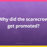 Why did the scarecrow get promoted?