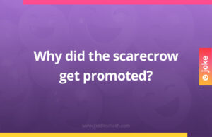 Why did the scarecrow get promoted?