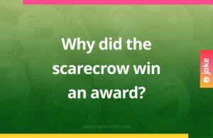 Why did the scarecrow win an award?