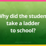 Why did the student take a ladder to school?