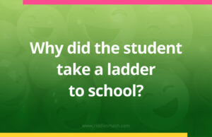 Why did the student take a ladder to school?