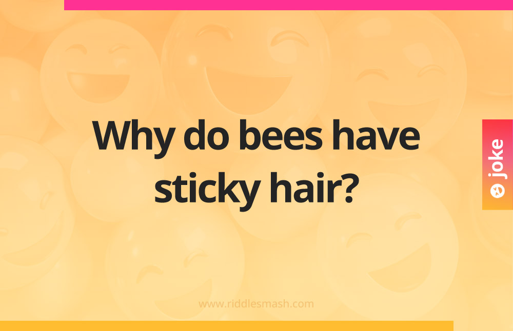 Why do bees have sticky hair?