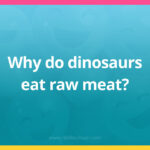 Why do dinosaurs eat raw meat?