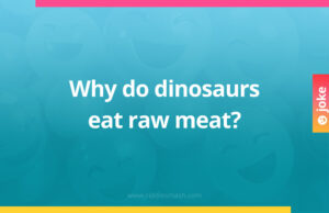 Why do dinosaurs eat raw meat?