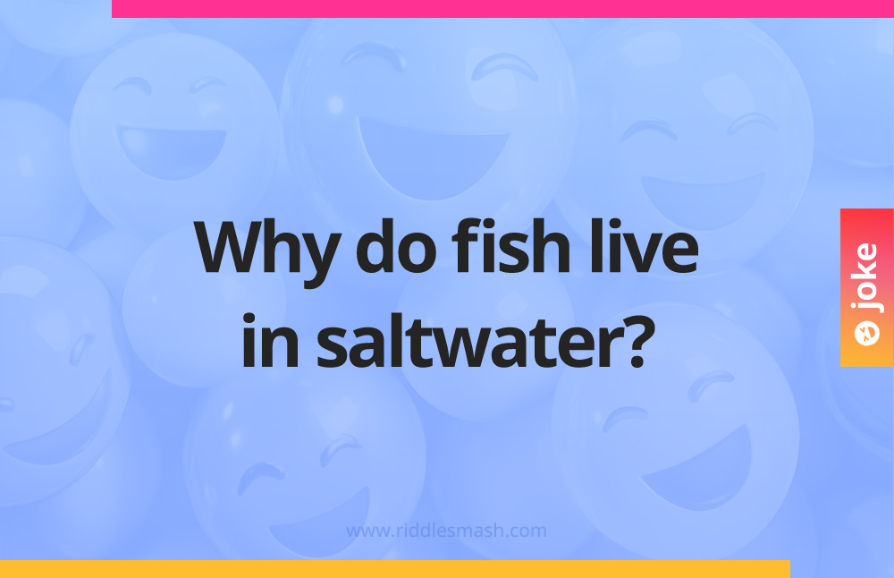 Why do fish live in saltwater?