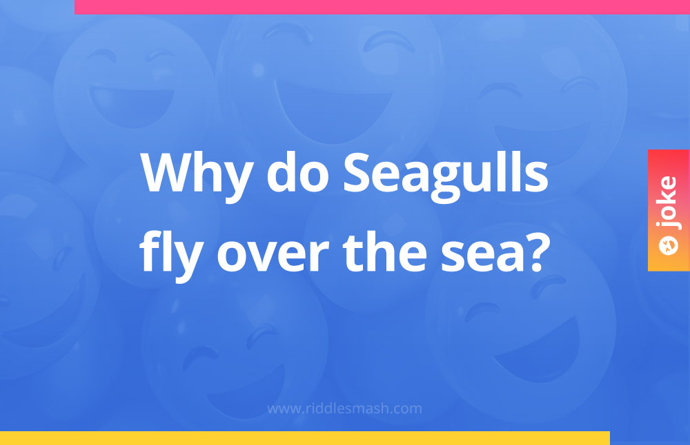 Why do Seagulls fly over the sea?