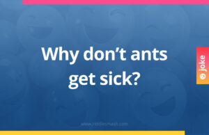 Why don't ants get sick?