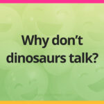 Why don't dinosaurs talk?
