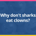 Why don't sharks eat clowns?