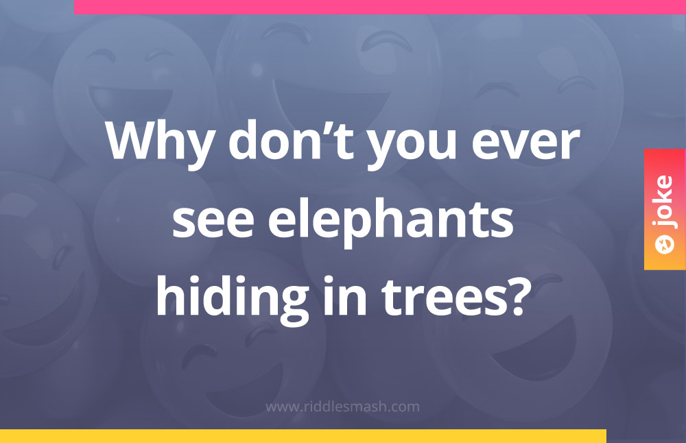 Why don't you ever see elephants hiding in trees?