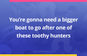 You're gonna need a bigger boat to go after one of these toothy hunters.