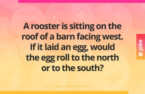 A rooster is sitting on the roof of a barn facing west. If it laid an egg, would the egg roll to the north or to the south?