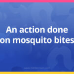 An action done on mosquito bites.