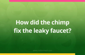 How did the chimp fix the leaky faucet?