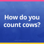 How do you count cows?