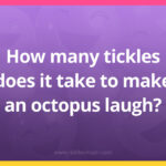 How many tickles does it take to make an octopus laugh?