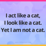 I act like a cat, I look like a cat. Yet I am not a cat.