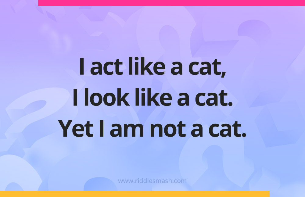 I act like a cat, I look like a cat. Yet I am not a cat.