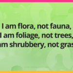 I am flora, not fauna, I am foliage, not trees, I am shrubbery, not grass.