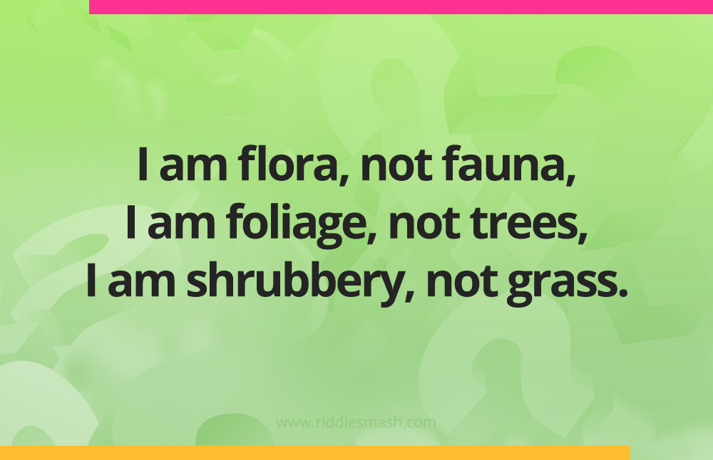 I am flora, not fauna, I am foliage, not trees, I am shrubbery, not grass.