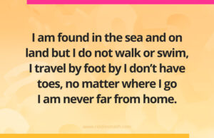 I am found in the sea and on land but I do not walk or swim, I travel by foot by I don't have toes, no matter where I go I am never far from home.