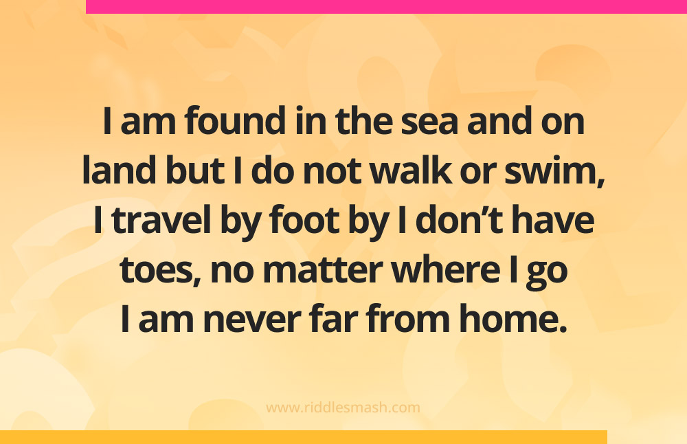 I am found in the sea and on land but I do not walk or swim, I travel by foot by I don't have toes, no matter where I go I am never far from home.