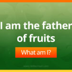 I am the father of fruits. What am I?