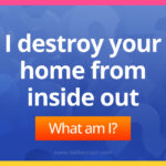 I destroy your home from inside out.