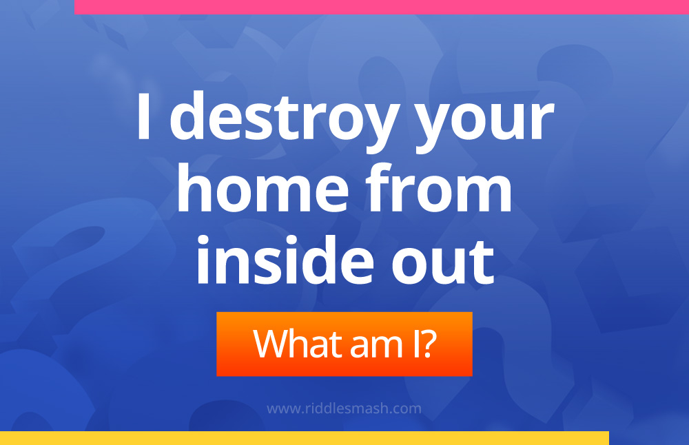 I destroy your home from inside out.