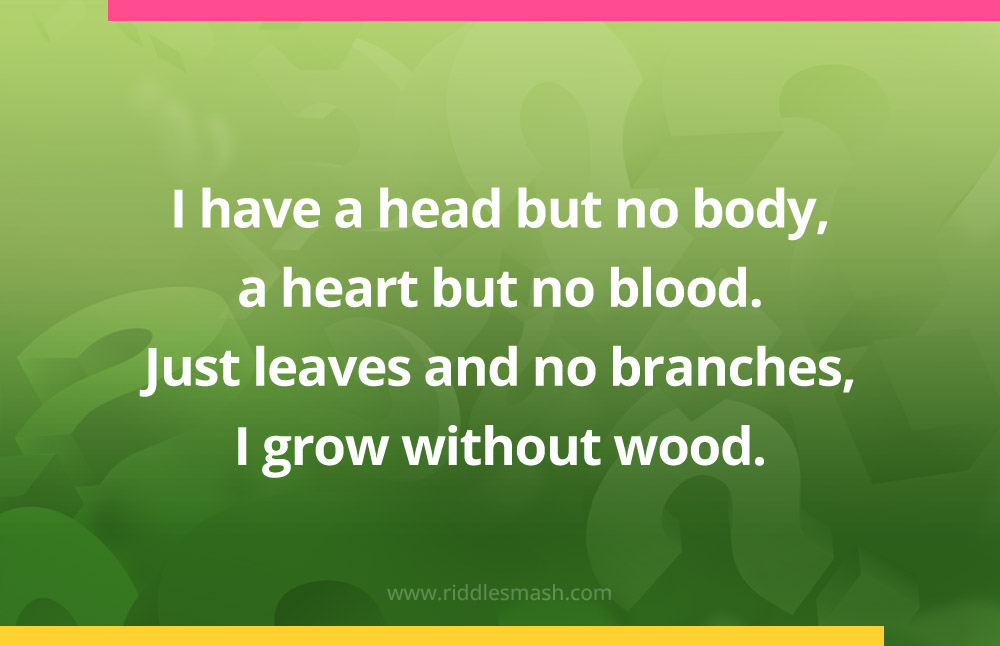 I have a head but no body, a heart but no blood. Just leaves and no branches, I grow without wood.