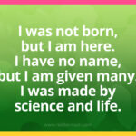 I was not born, but I am here. I have no name, but I am given many. I was made by science and life.
