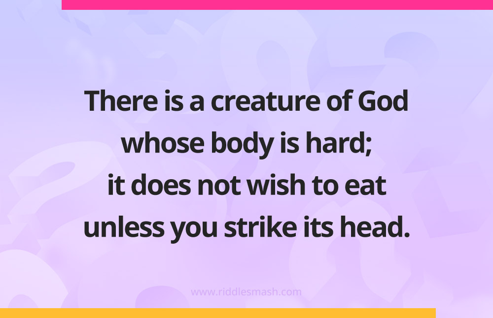 There is a creature of God whose body is hard; it does not wish to eat unless you strike its head.