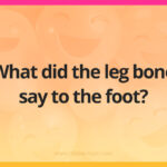 What did the leg bone say to the foot?