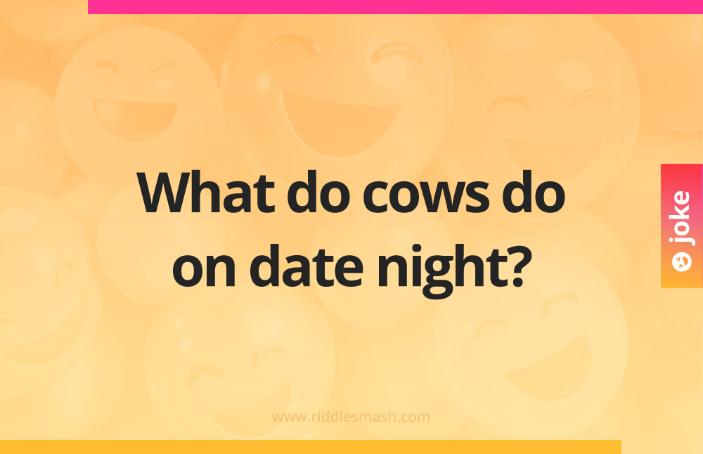 What do cows do on date night?