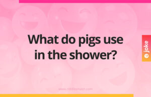 What do pigs use in the shower?