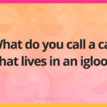 What do you call a cat that lives in an igloo?