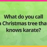 What do you call a Christmas tree that knows karate?