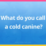 What do you call a cold canine?
