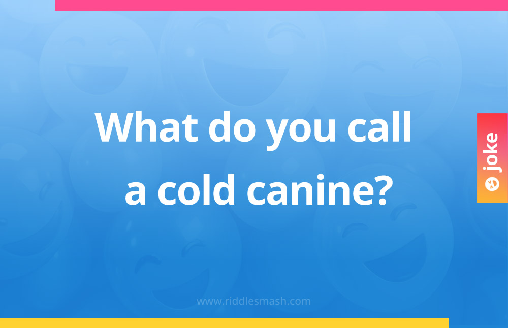 What do you call a cold canine?