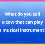 What do you call a cow that can play a musical instrument?