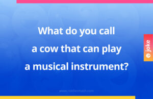What do you call a cow that can play a musical instrument?