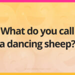 What do you call a dancing sheep?
