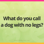What do you call a dog with no legs?