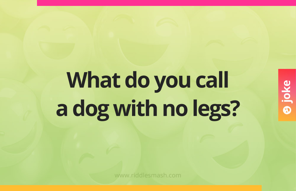 What do you call a dog with no legs?
