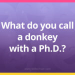 What do you call a donkey with a Ph.D.?