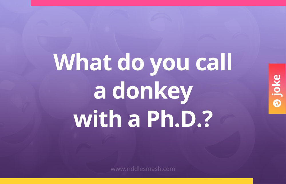 What do you call a donkey with a Ph.D.?